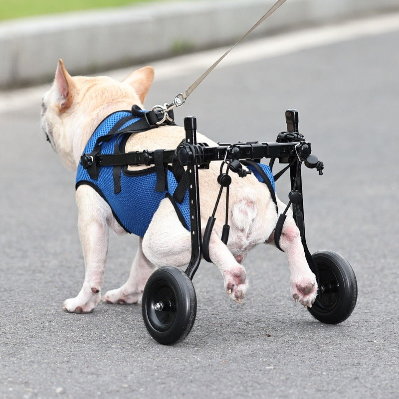 Adjustable Dog Wheelchair Mobility Scooter