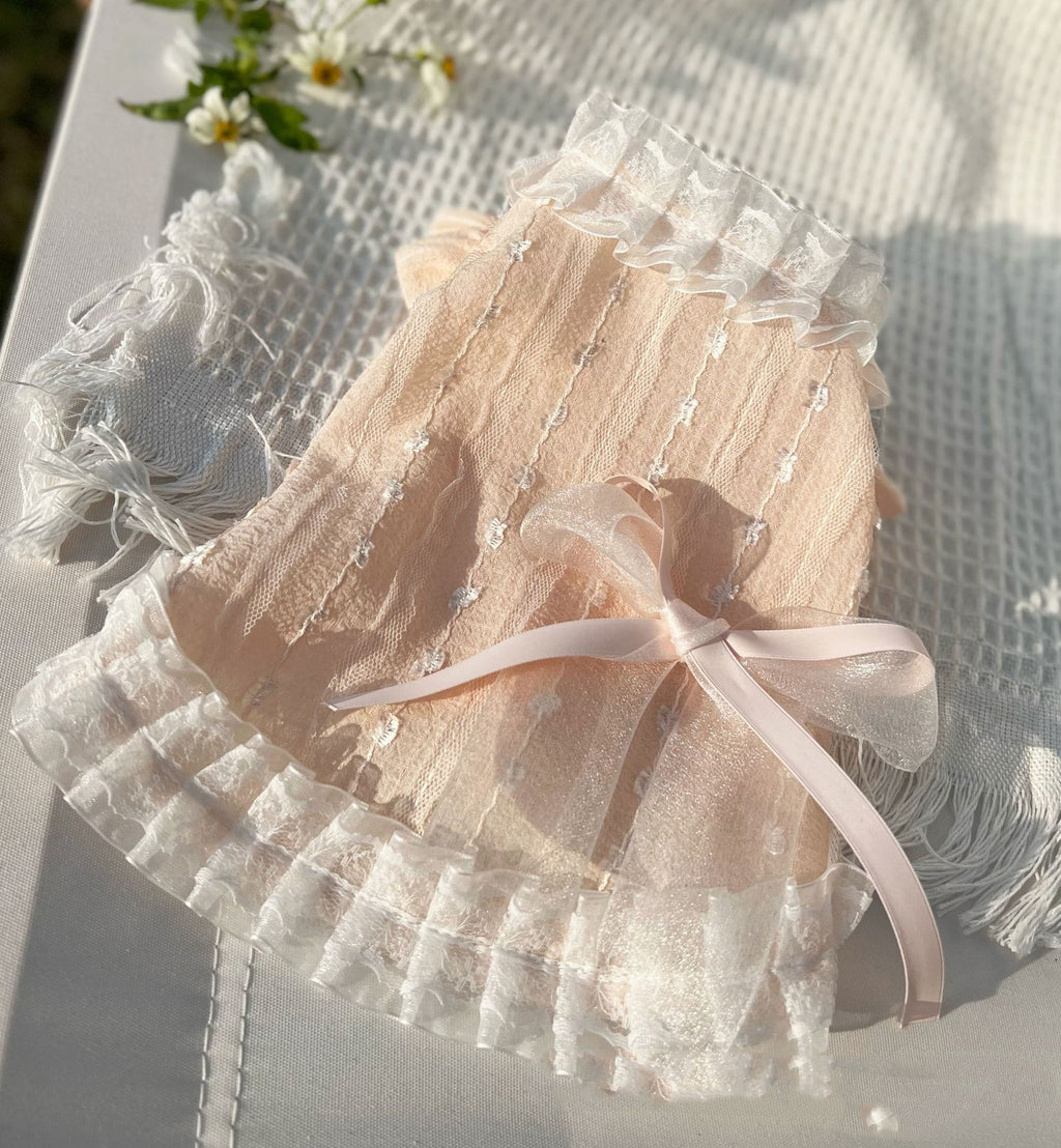 Chiffon Lace Bow Dress for Princess Pets
