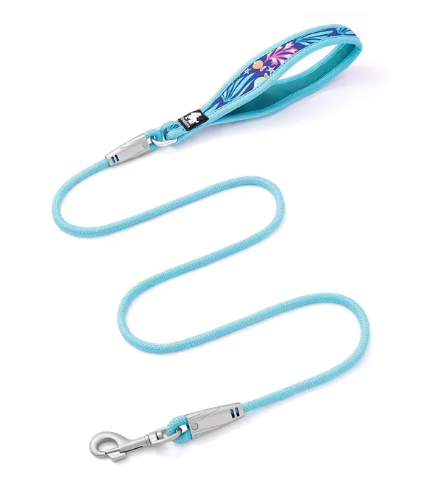 Truelove Dog Leash (Single Item)