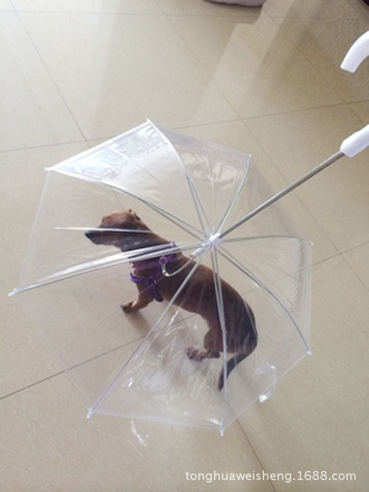 Pet Umbrella with Leash for Small Dogs like Teddy