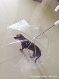 Pet Umbrella with Leash for Small Dogs like Teddy