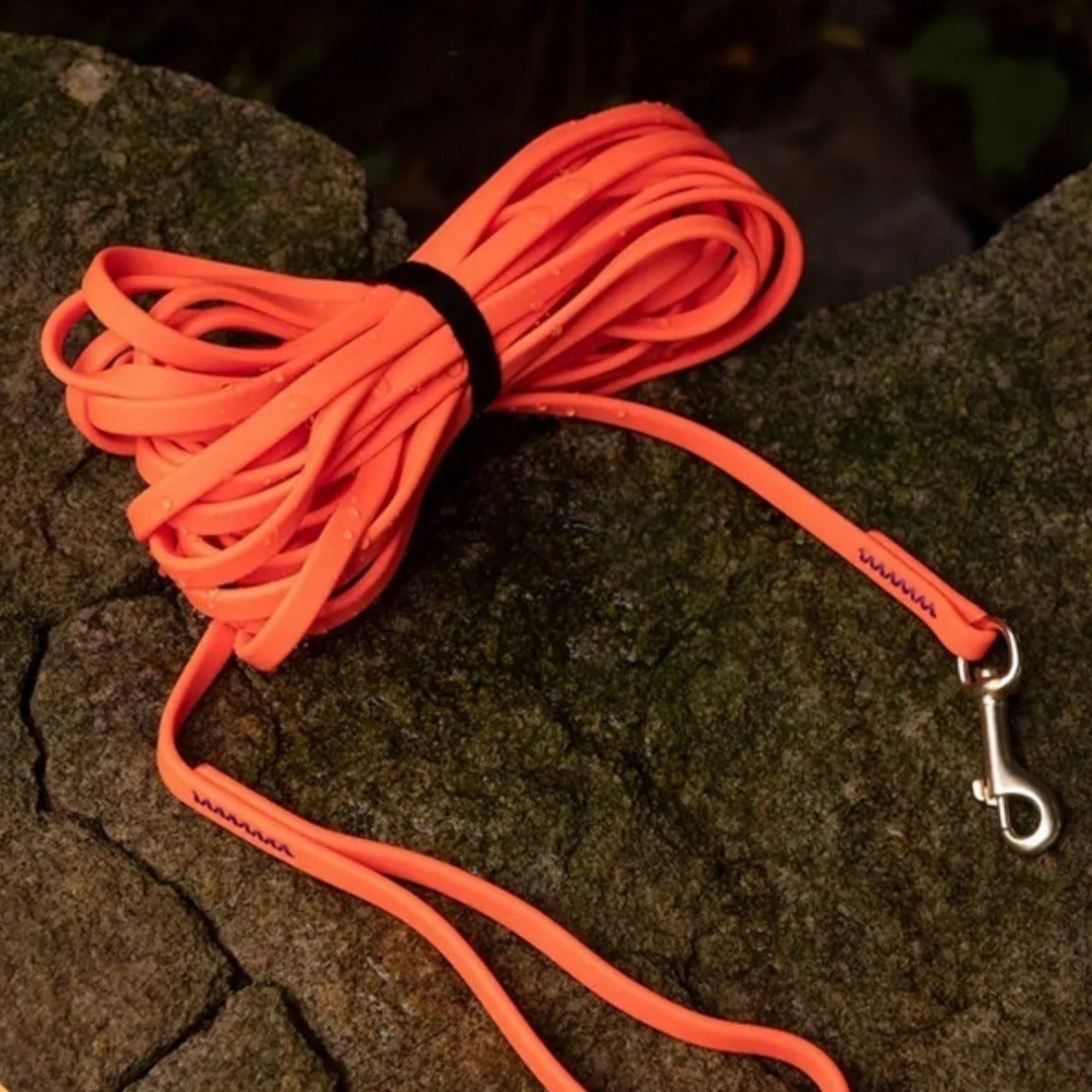 Thickened 1cm Dog Training Leash
