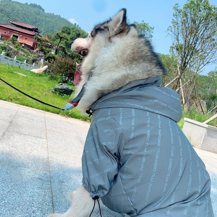 Summer Lightweight Astronaut Dog Raincoat for Medium Breeds