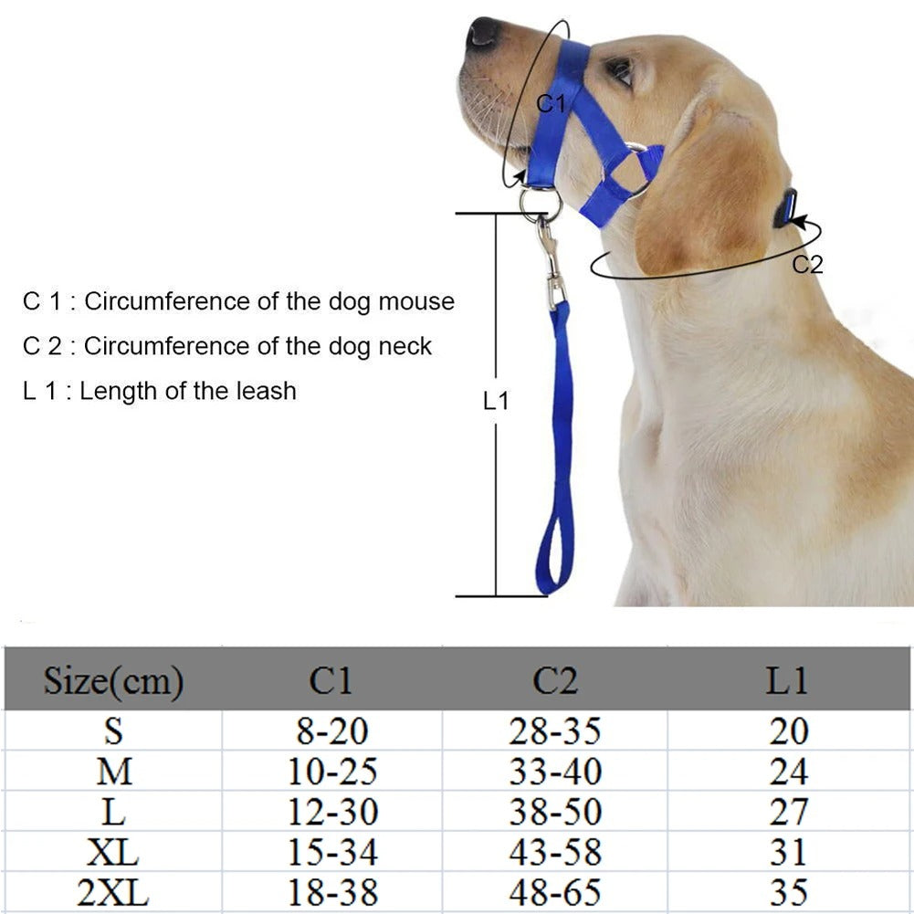 Dog Muzzle & Leash, Nylon