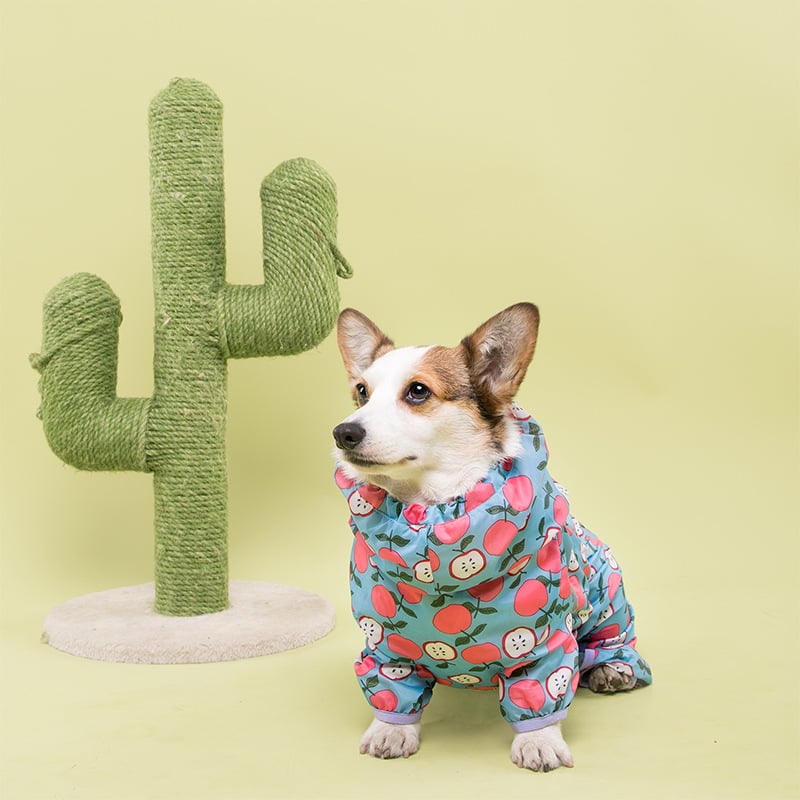 Golden Retriever Corgi Full Wrap Waterproof Coat