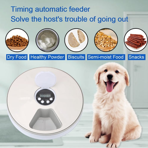 Automatic Pet Feeder with Voice Recorder and 6 Grids