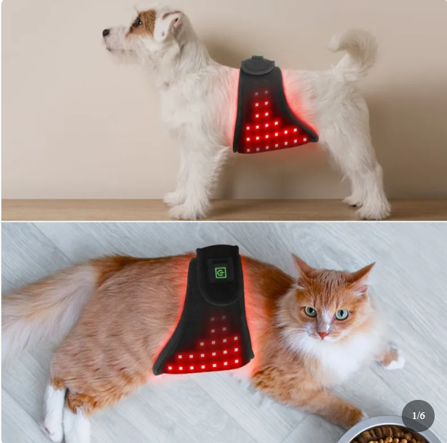 Pet Red Light Therapy Belt