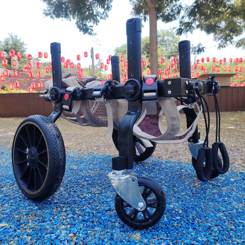 Dog Wheelchair for Disabled Dogs