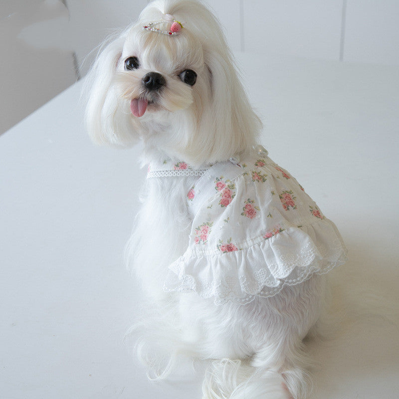 Lace Dog Skirt with Small Town Flower Print