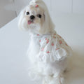 Lace Dog Skirt with Small Town Flower Print