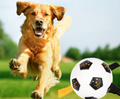Interactive Rope Football for Outdoor Training