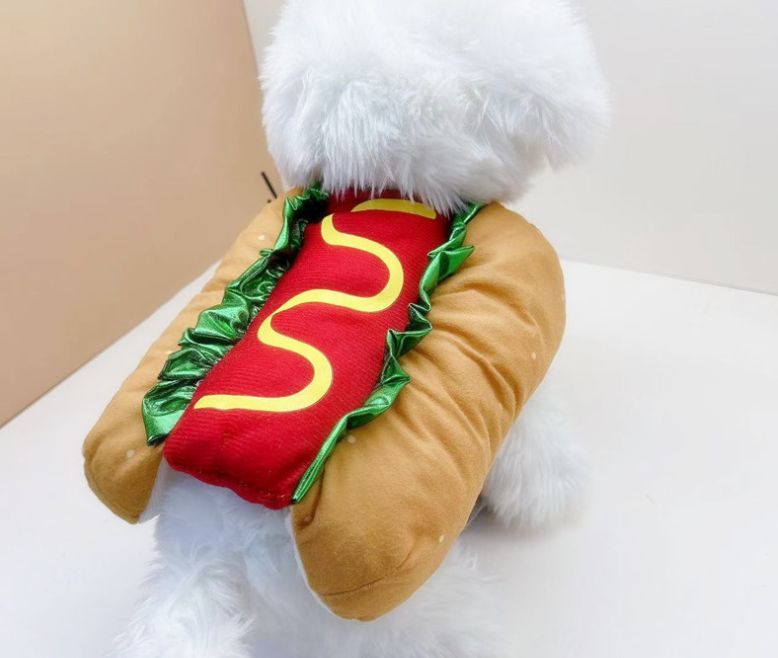 Pet Transformation Outfits: Cat and Dog Costumes