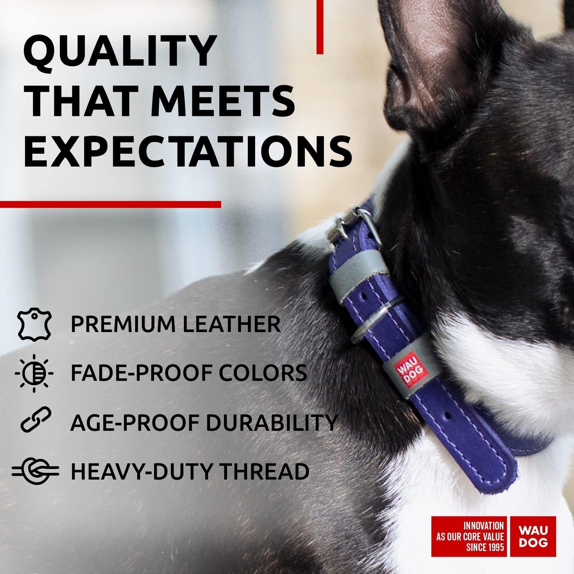 Purple Long Lasting Leather Dog Collar for Medium Dogs 1215 inch Neck