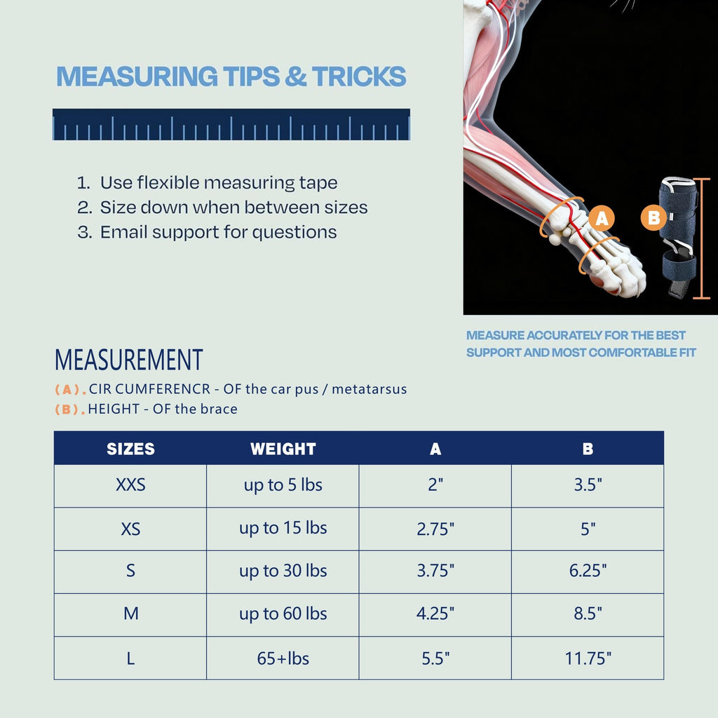 Cat Foreleg Injury Support Brace
