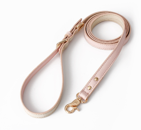 Retro Dog Collar with Traction Rope