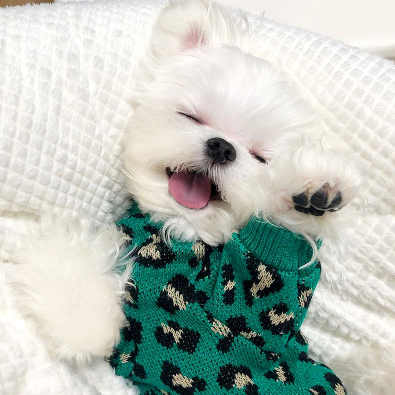 Leopard-Print Knitted Sweater for Small Dogs and Cats