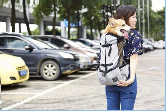 Pet Backpack for Dogs, Ventilated and Washable