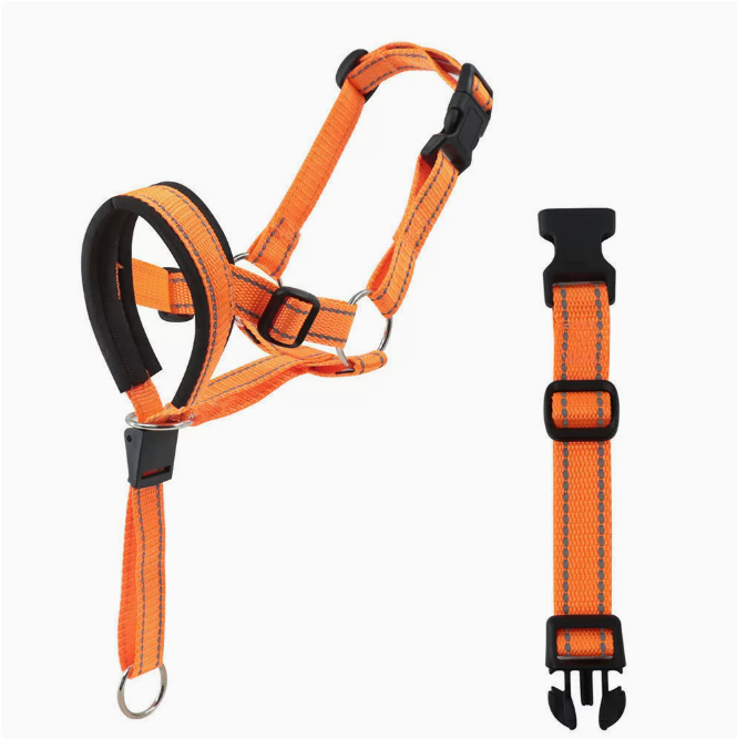 Nylon Dog Head Collar and Leash for Training (One Set)