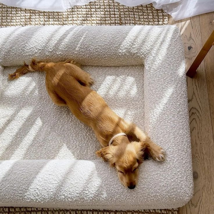 Rectangular Pet Bed Sofa