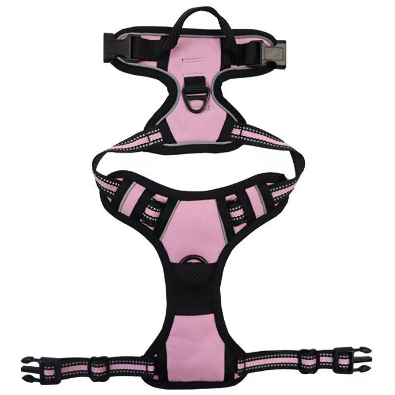 Nylon Dog Harness & Leash Set