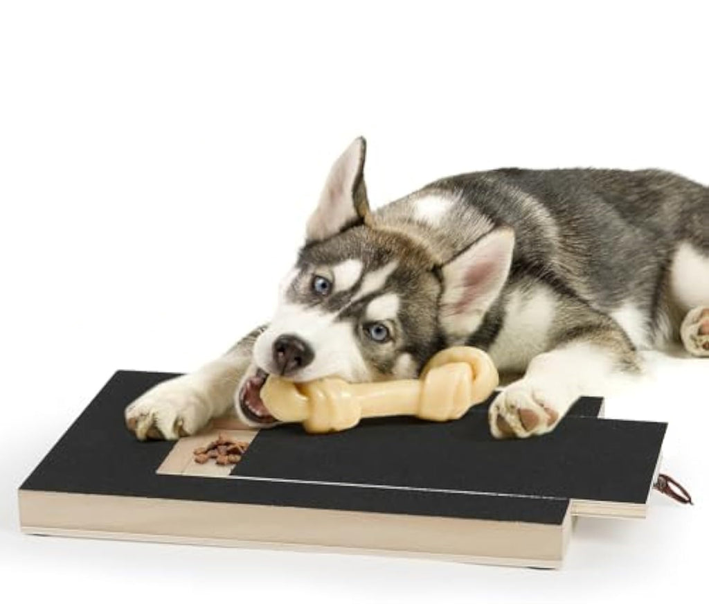 Dog Nail Scratch & Grinder Board with Treat Box