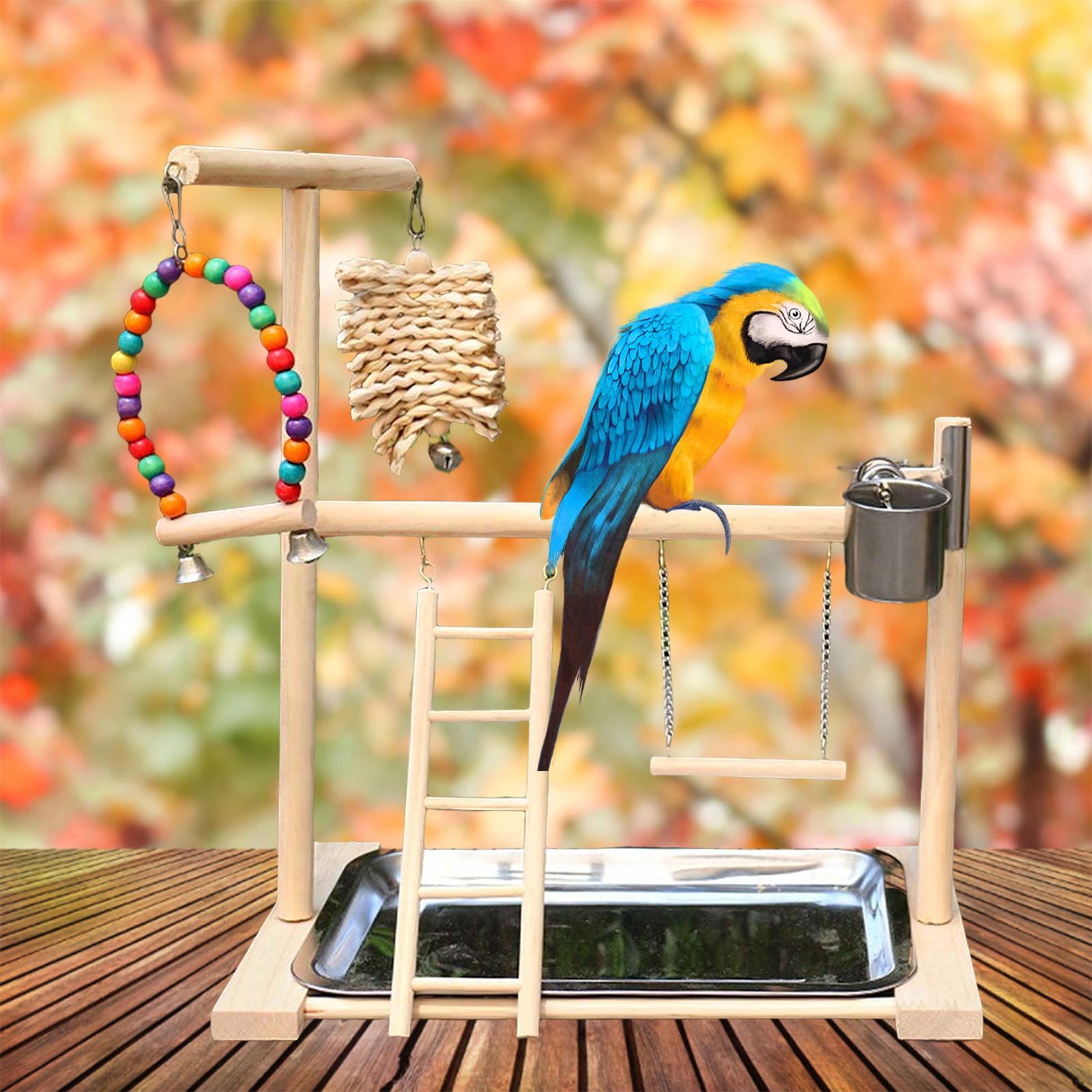 Solid Wood Parrot Playstand with Gym Ladder and Toys