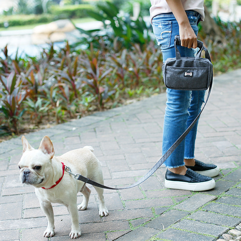Fashionable Multi-Functional Dog Leash with Treat Bag