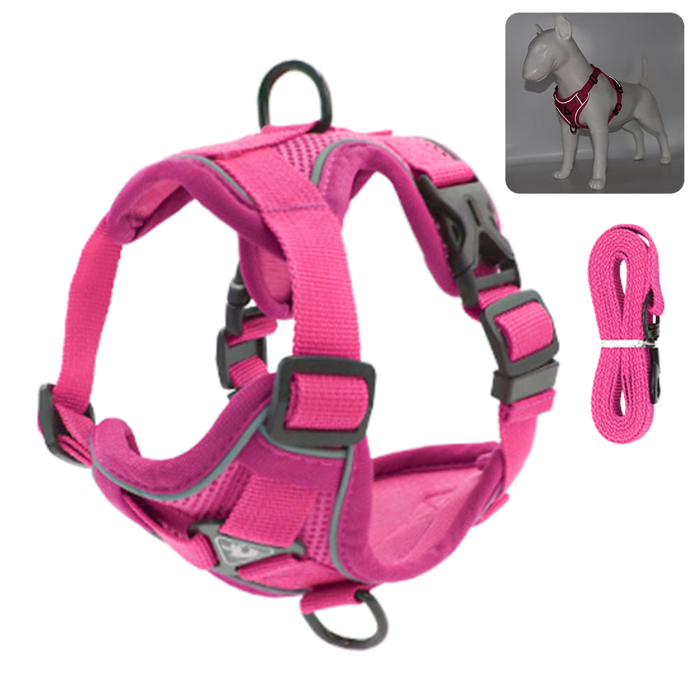 Dog Harness Set