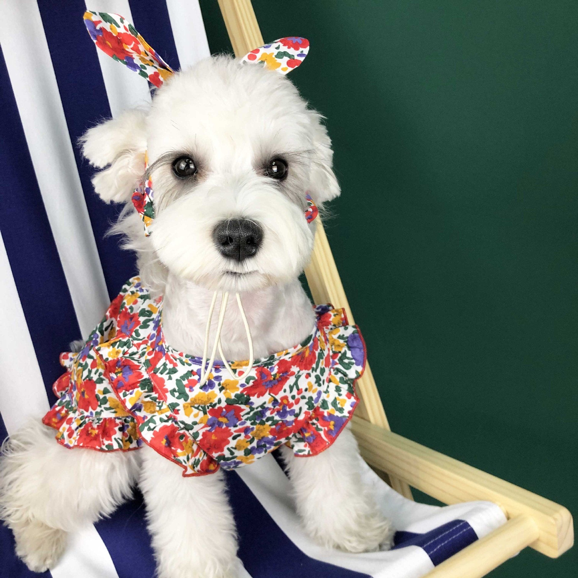 Summer Lightweight Dress for Small Dogs