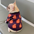 Autumn Winter Sweater for Puppies and Kittens
