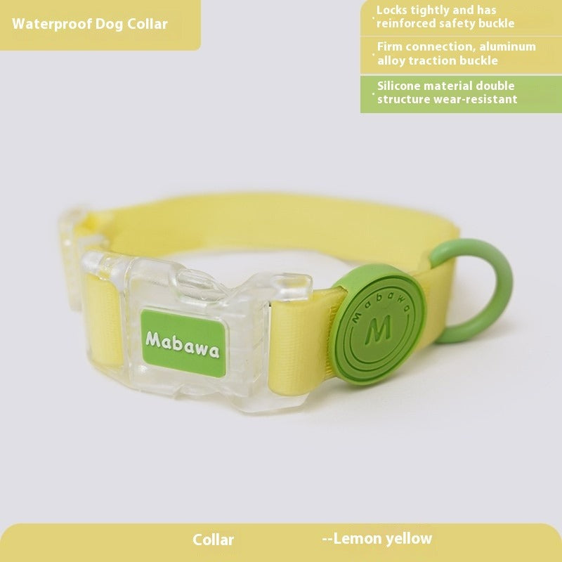 Dog Collar