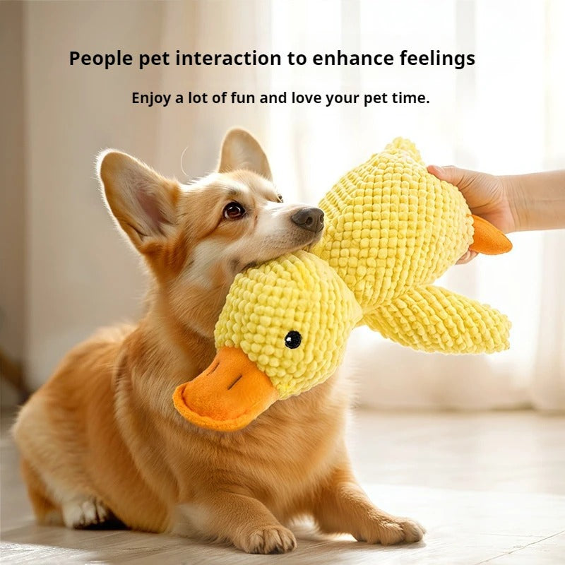 Dog Plush Chew Toy