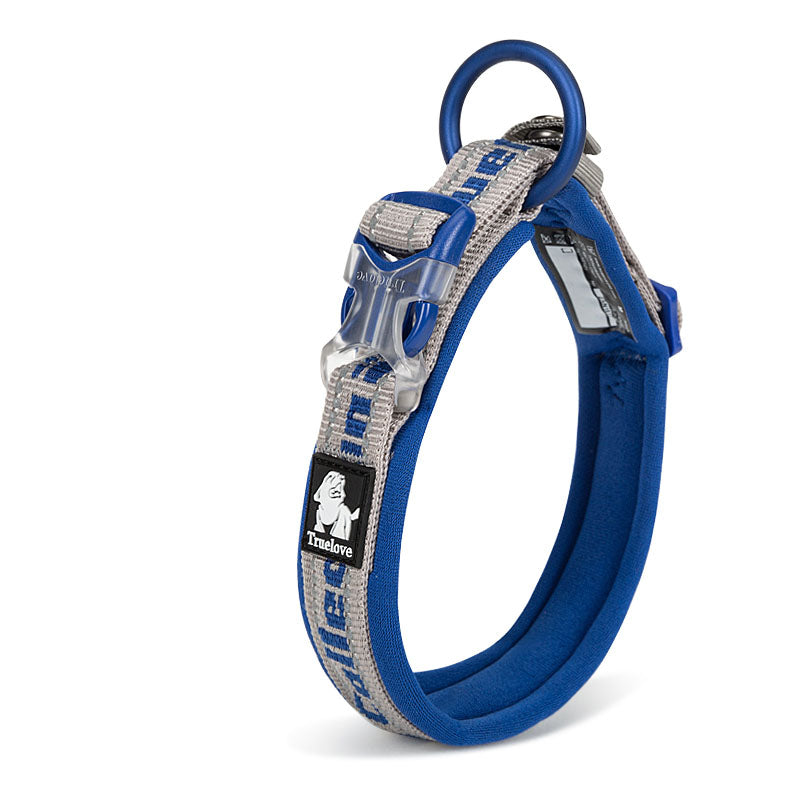Large Dog Training Collar and Harness