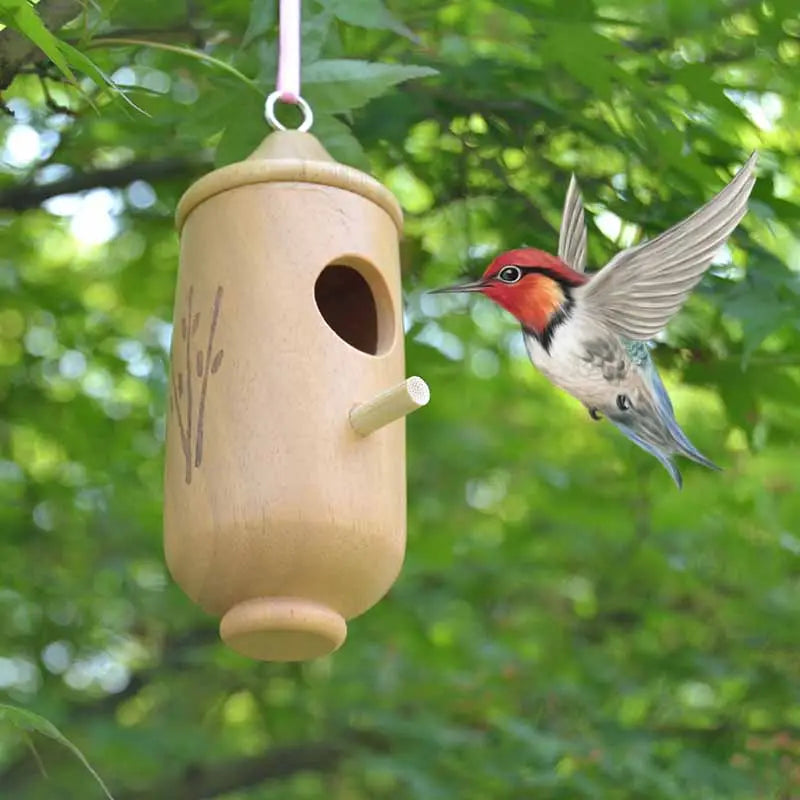 Hummingbird Nest House with Hanging Swing Design