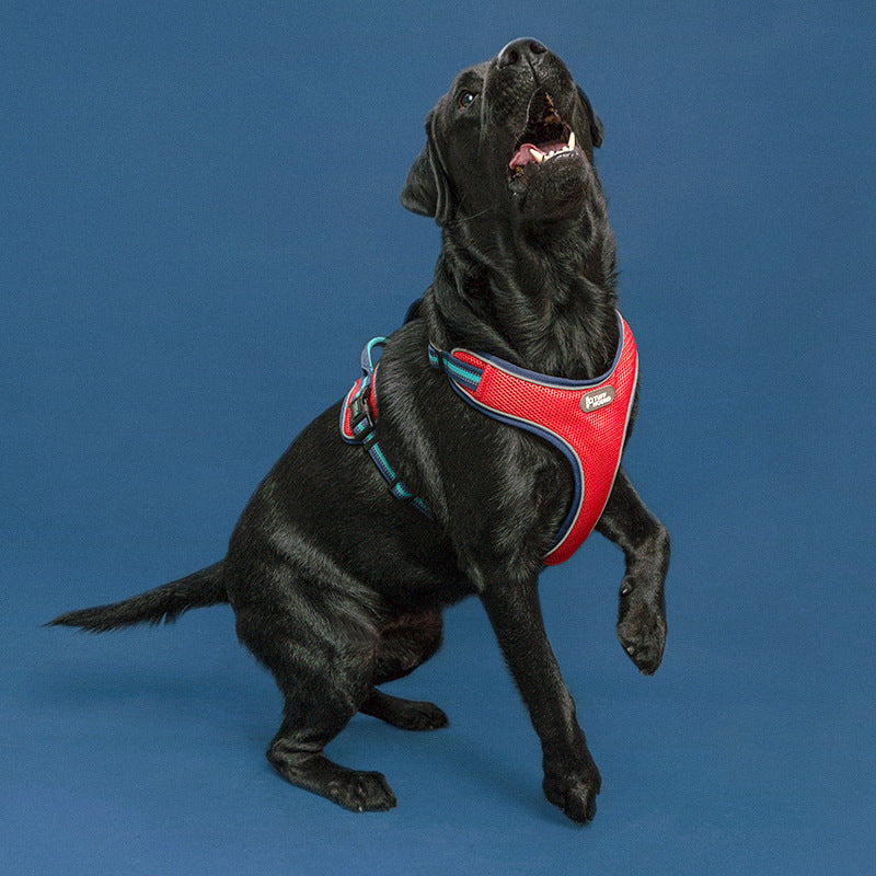 2019 New Dog Harness and Leash for Pets