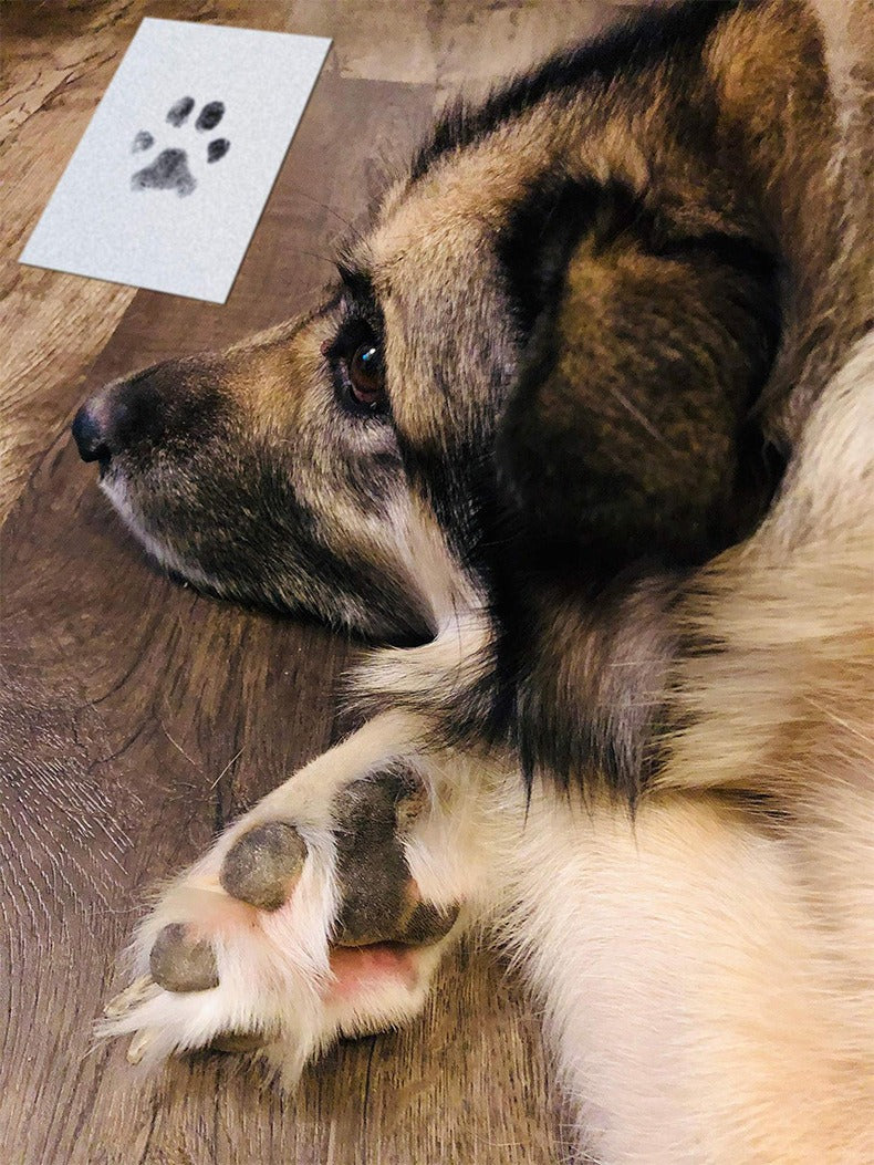 Children & Pets Fingerprint Photo Album DIY
