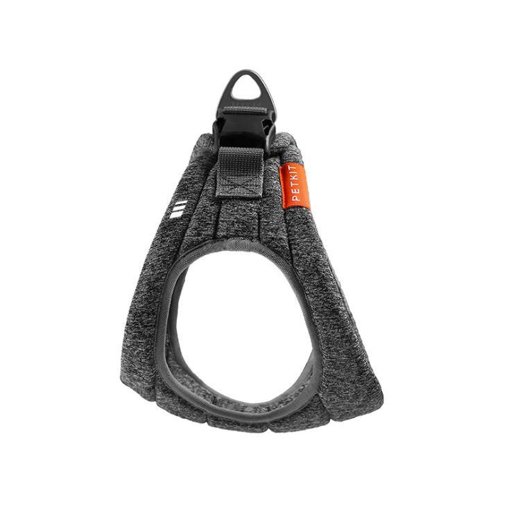 Dog Leash and Harness Set for Outdoor Activities