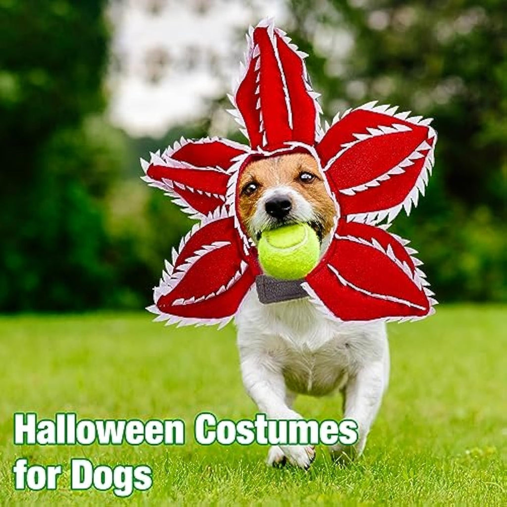 Pet  Flower Costume  Accessories