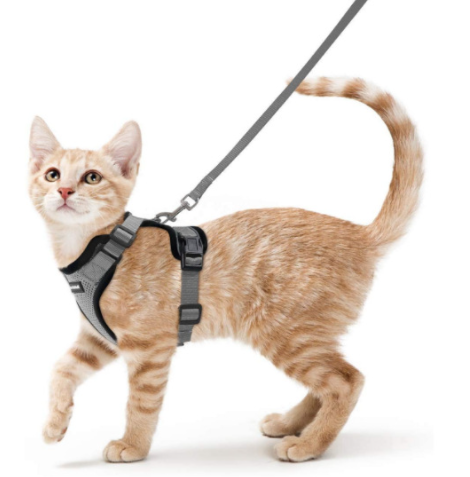 Reflective Breathable Chest Strap for Cats