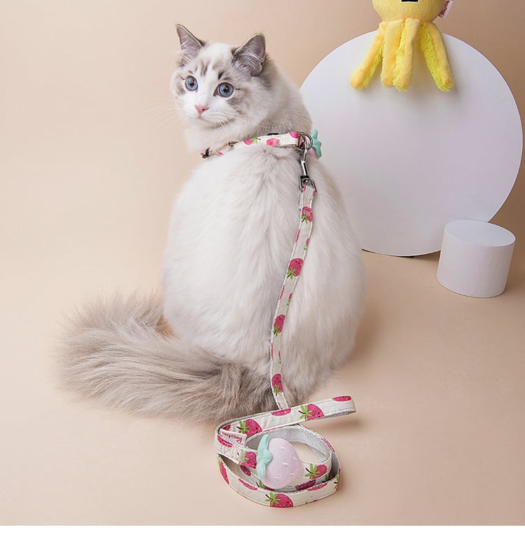 Fruit Series Dog Collars and Leash for Outings