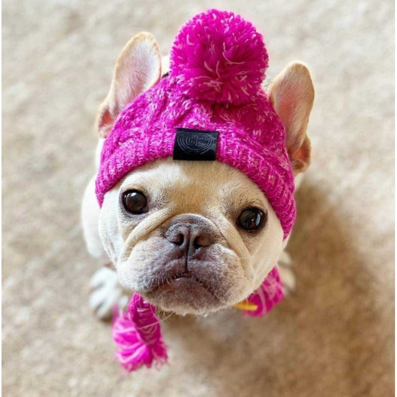 Wool Ball Knitted Dog Hat