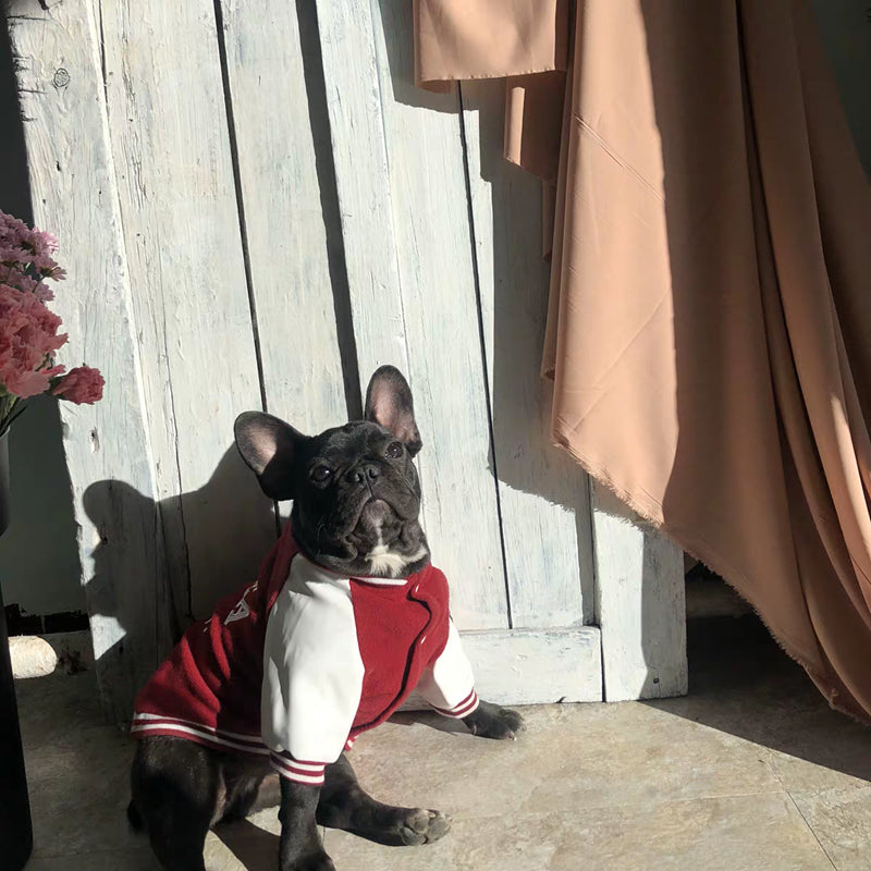 Fashionable Cotton Pet Baseball Outfit for Dogs