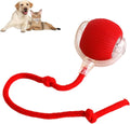 Interactive Rolling Ball Toy for Dogs and Cats