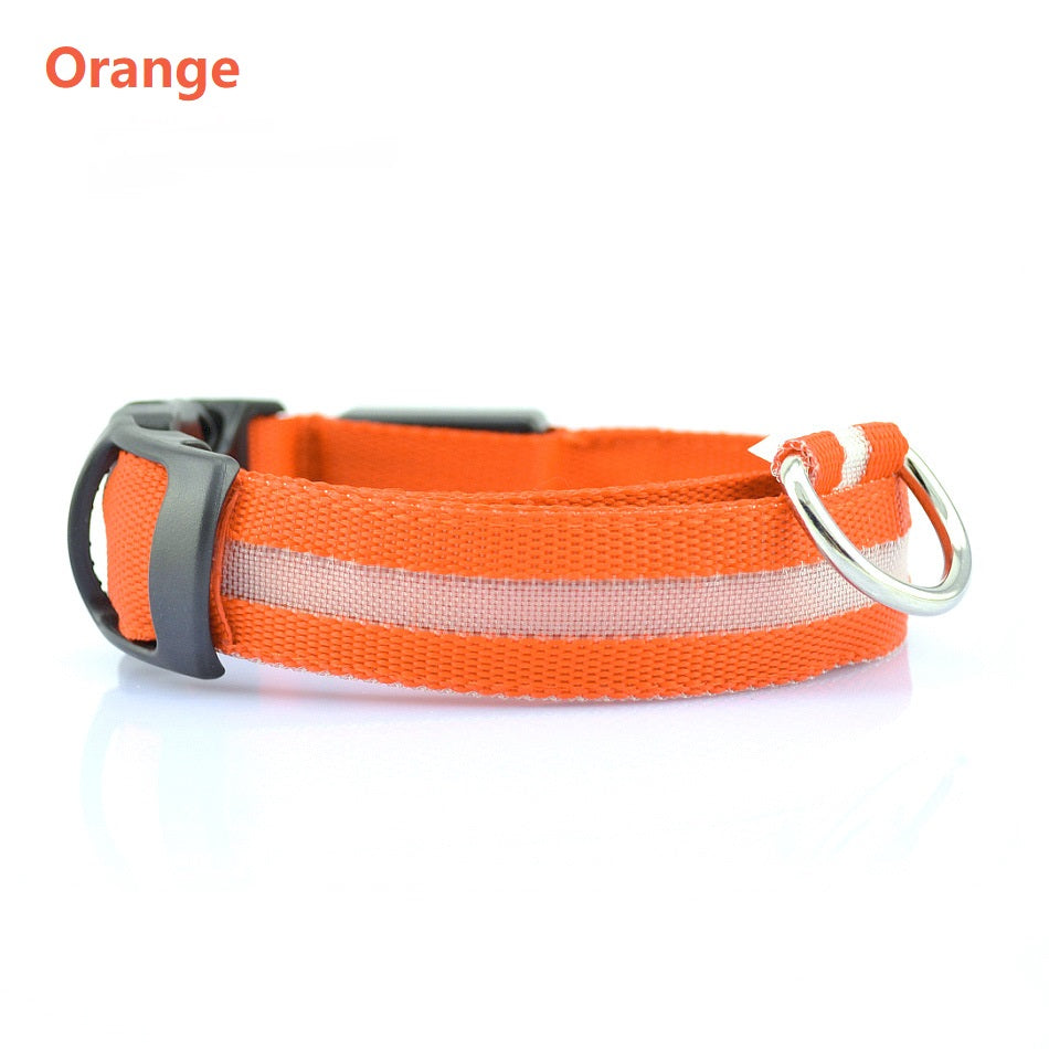 Creative LED Pet Collar for Dogs - Night Safety Light