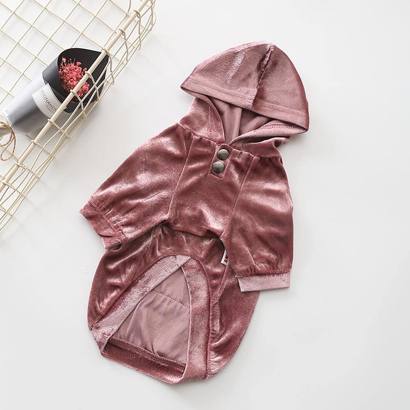 Hooded Velvet Sweater for Dogs - Fall/Winter Wear