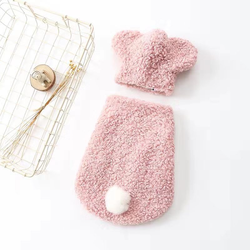 Teddy Dog Pet Clothes for Cubs - Two-Legged Design