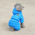 Winter Coats for Small Dogs: Teddy & Bichon Styles