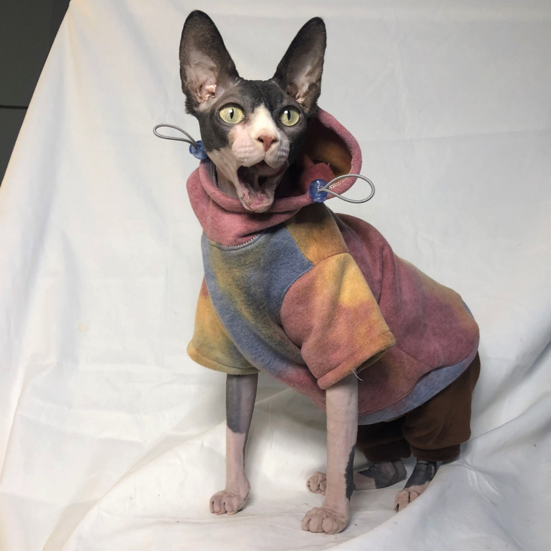 Hooded Tie-Dye Sweater for Pets in Autumn/Winter