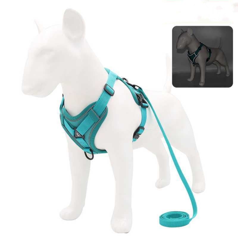 Dog Harness Set