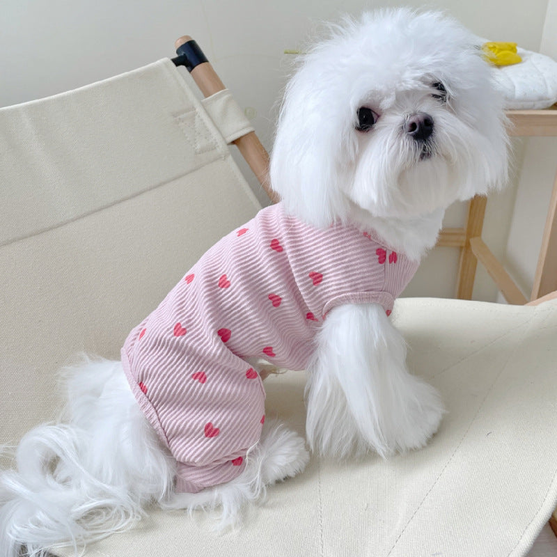 Home Clothes for Four-Legged Pets